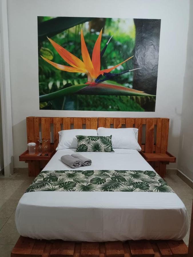 Hospedajes El Jardin Envigado Exterior photo